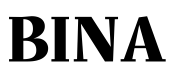 This image has an empty alt attribute; its file name is BINA-1-e1738781433824.png